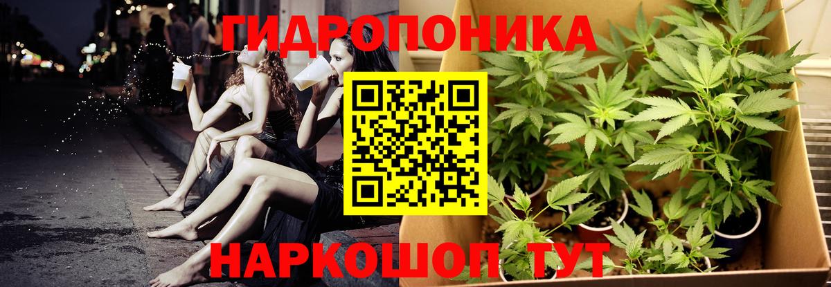Конопля тримм  Конопля OG Kush  Вход с VPN  Донской  Бошки Шишки марихуана  Марихуана семена 